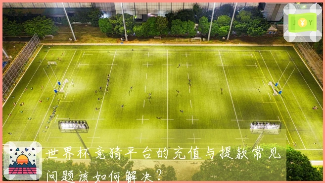 世界杯竞猜平台的充值与提款常见问题该如何解决？