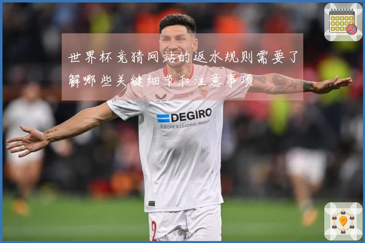 世界杯竞猜网站的返水规则需要了解哪些关键细节和注意事项
