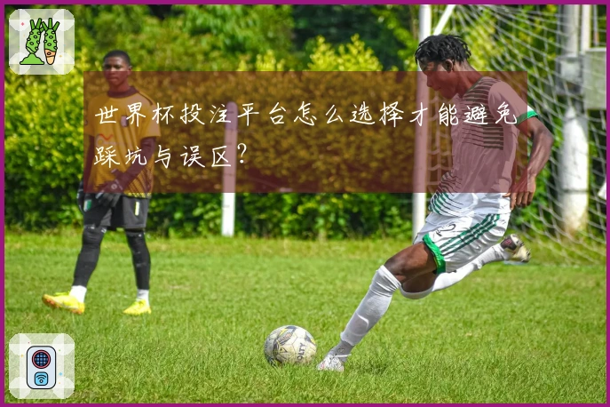 世界杯投注平台怎么选择才能避免踩坑与误区？