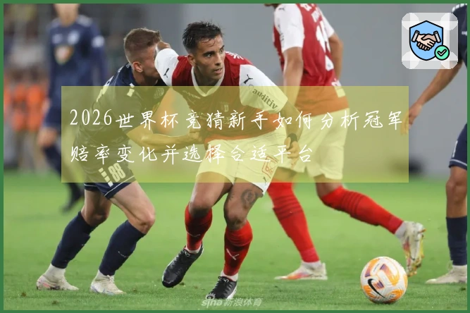 2026世界杯竞猜新手如何分析冠军赔率变化并选择合适平台