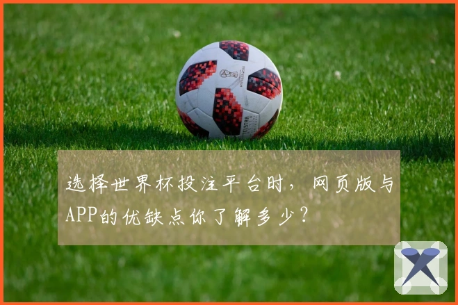 选择世界杯投注平台时，网页版与APP的优缺点你了解多少？