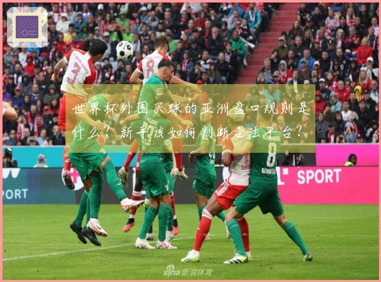 世界杯外围买球的亚洲盘口规则是什么？新手该如何判断合法平台？