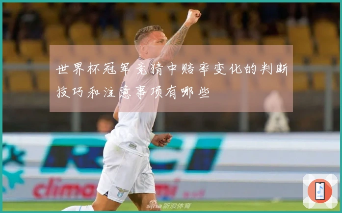 世界杯冠军竞猜中赔率变化的判断技巧和注意事项有哪些