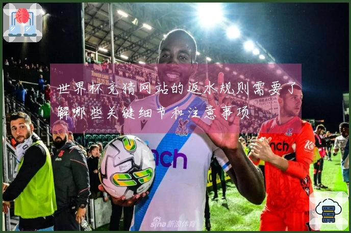 世界杯竞猜网站的返水规则需要了解哪些关键细节和注意事项
