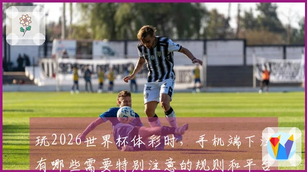 玩2026世界杯体彩时，手机端下注有哪些需要特别注意的规则和平台选择技巧？