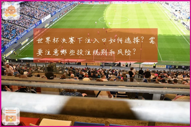 世界杯决赛下注入口如何选择？需要注意哪些投注规则和风险？
