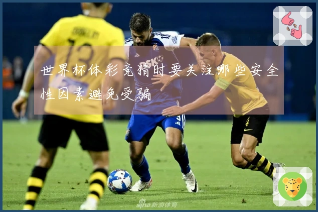 世界杯体彩竞猜时要关注哪些安全性因素避免受骗
