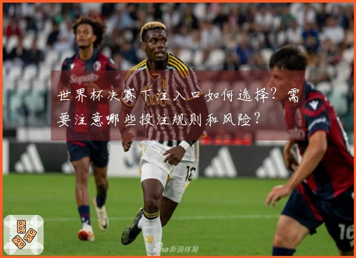 世界杯决赛下注入口如何选择？需要注意哪些投注规则和风险？