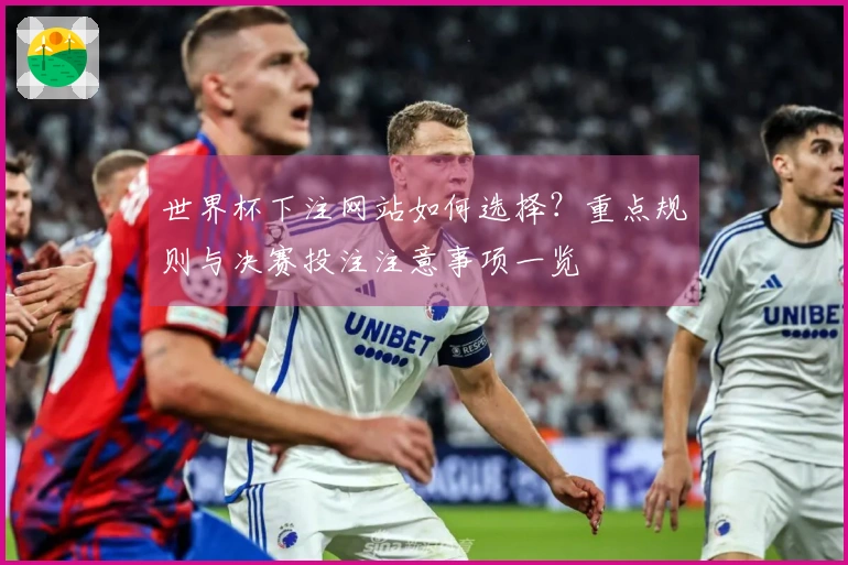 世界杯下注网站如何选择？重点规则与决赛投注注意事项一览