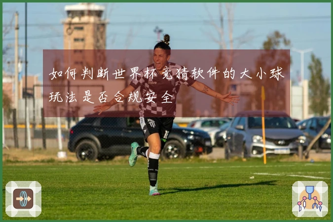 如何判断世界杯竞猜软件的大小球玩法是否合规安全