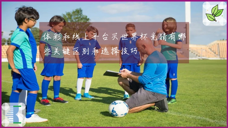 体彩和线上平台买世界杯竞猜有哪些关键区别和选择技巧