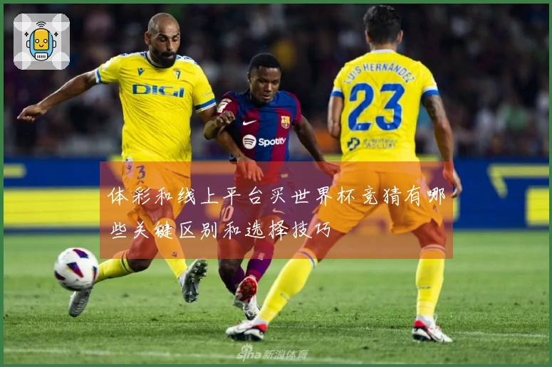体彩和线上平台买世界杯竞猜有哪些关键区别和选择技巧
