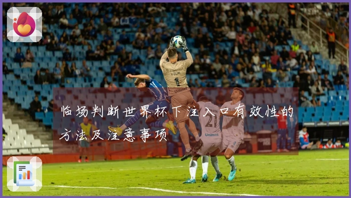 临场判断世界杯下注入口有效性的方法及注意事项