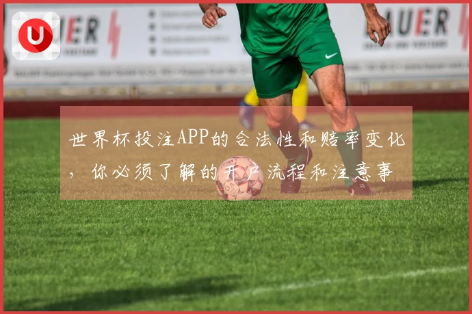 世界杯投注APP的合法性和赔率变化，你必须了解的开户流程和注意事项
