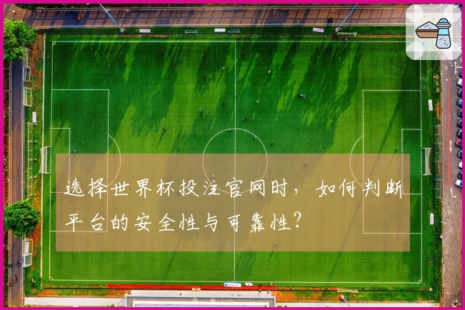 选择世界杯投注官网时，如何判断平台的安全性与可靠性？
