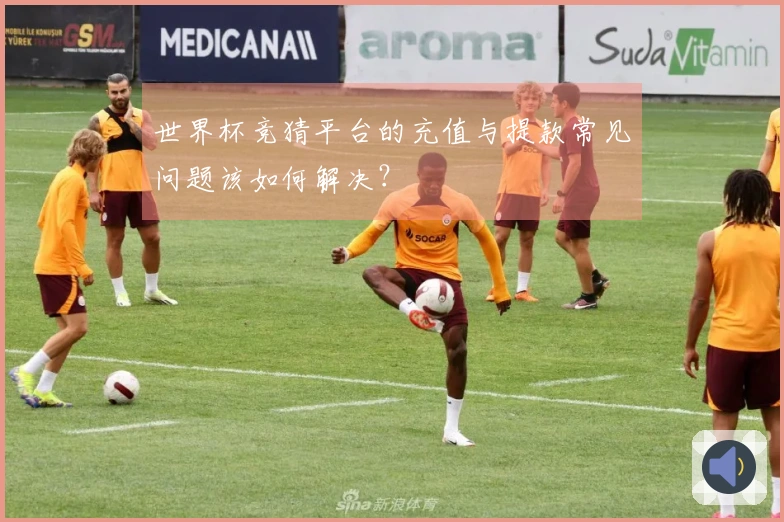 世界杯竞猜平台的充值与提款常见问题该如何解决？