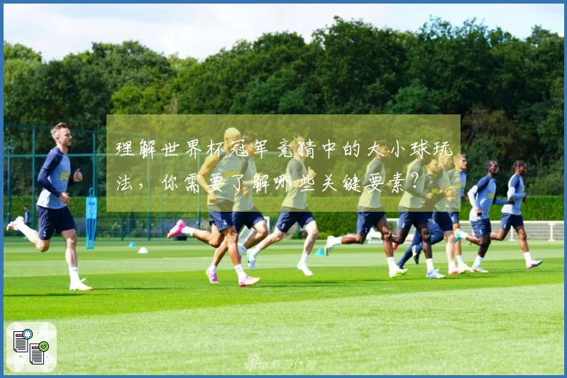理解世界杯冠军竞猜中的大小球玩法，你需要了解哪些关键要素？