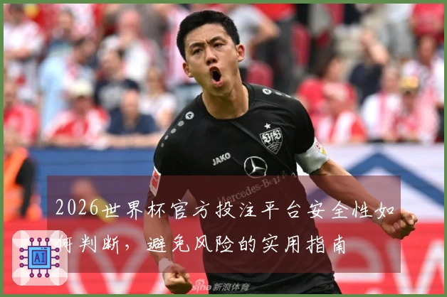 2026世界杯官方投注平台安全性如何判断，避免风险的实用指南
